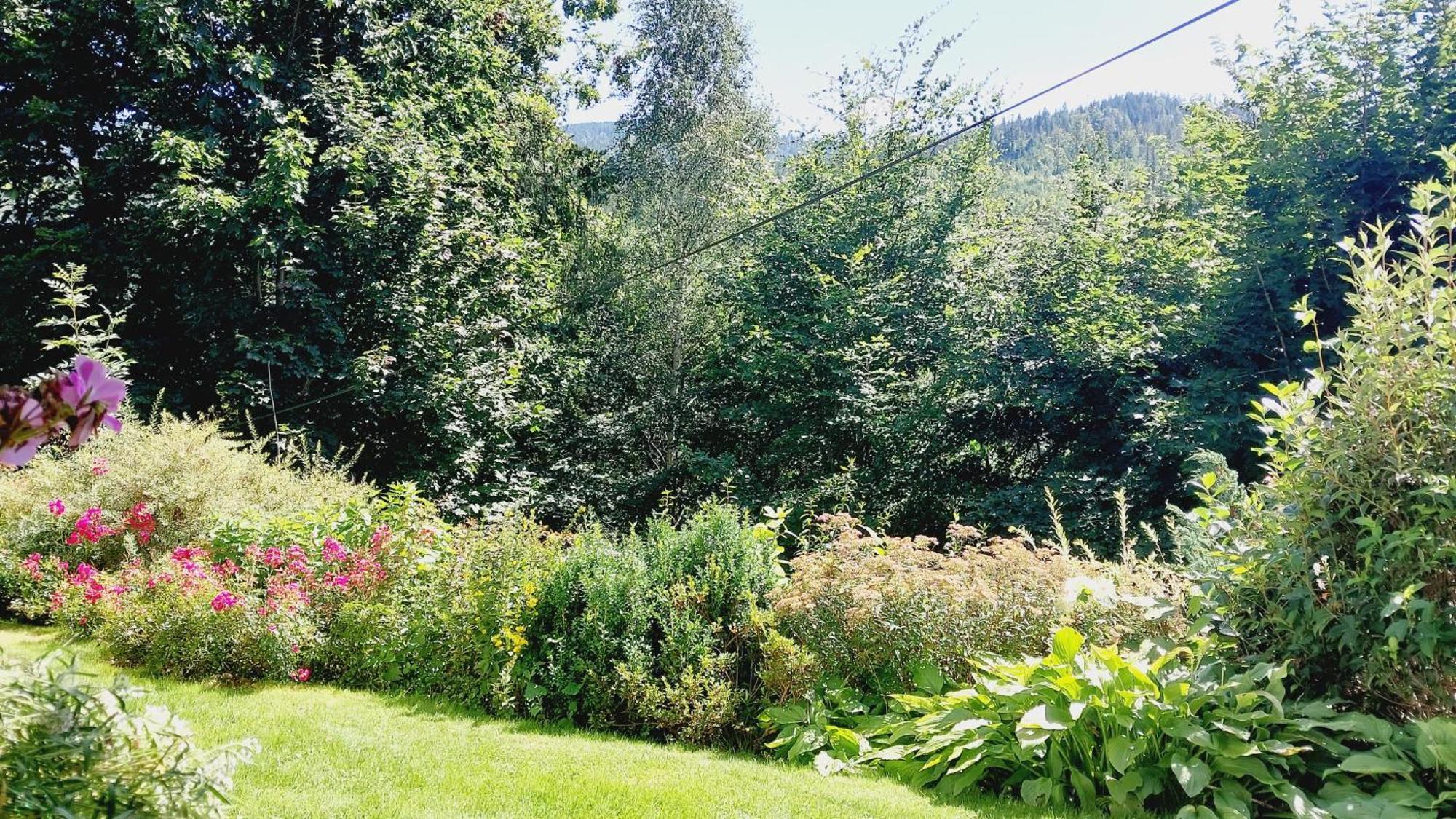 Agroturystyka Jelenia Wisla Phòng bức ảnh